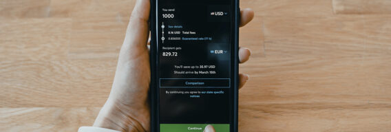 Software Development for International Money Transfer: Solutions Analysis