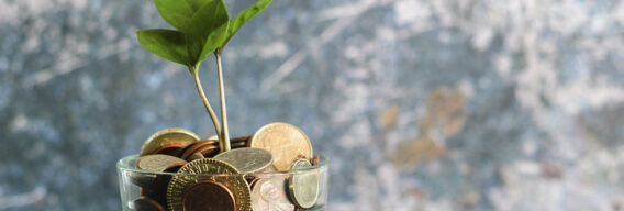 Digital Solutions that Help Your Business Recover