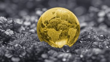 Transformation de l’assurance qualité logicielle ESG pour Novisto